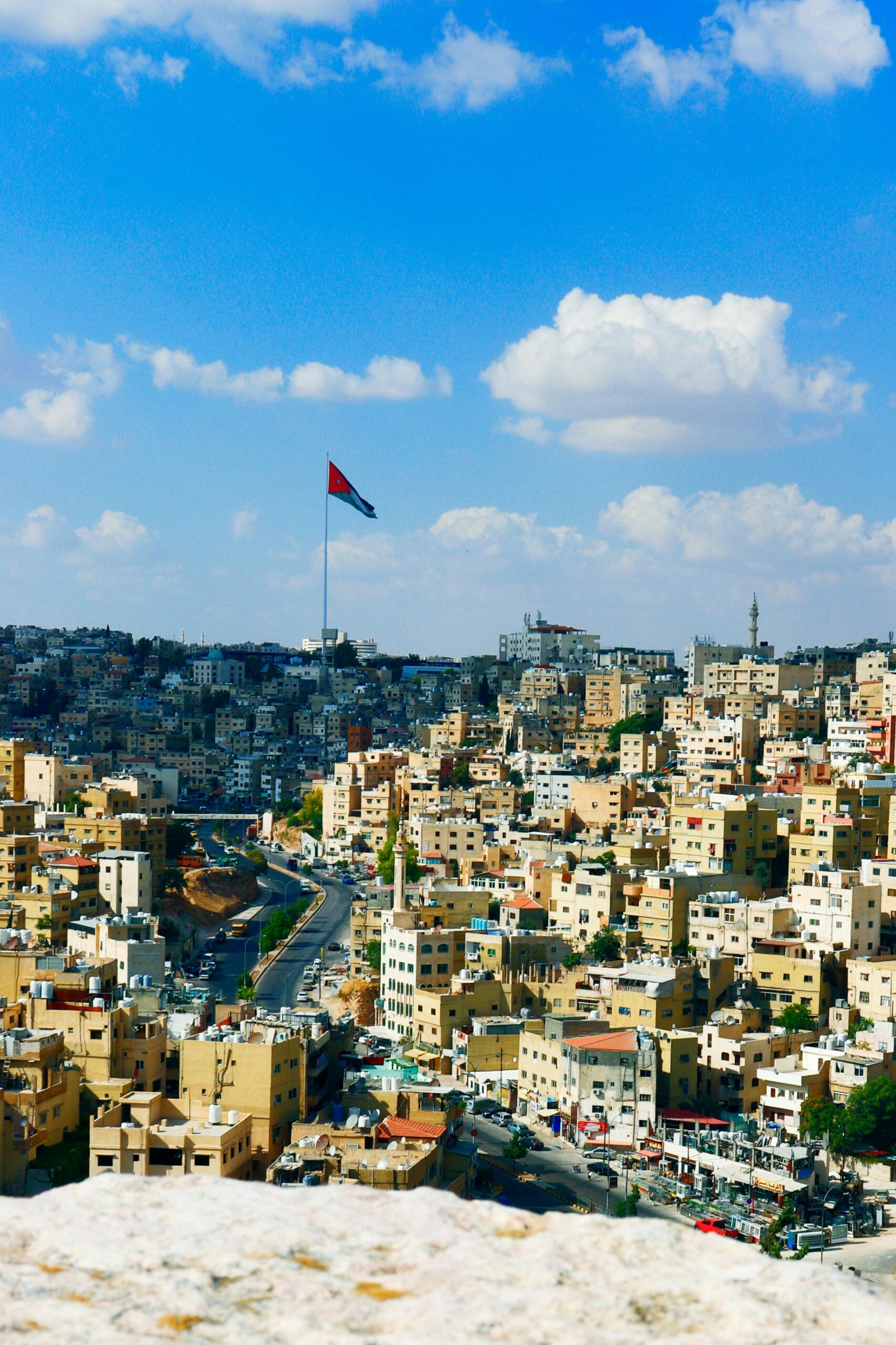 pexels hebaalwahsh99 11932230